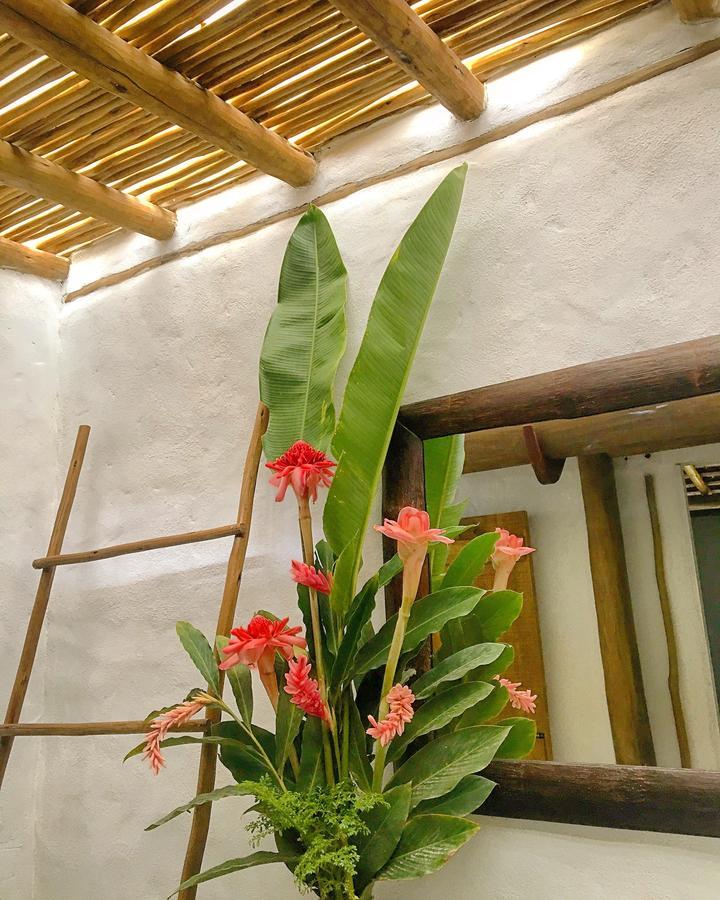 Vivertrancoso 호텔 외부 사진