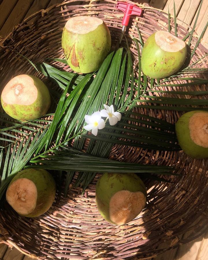 Vivertrancoso 호텔 외부 사진